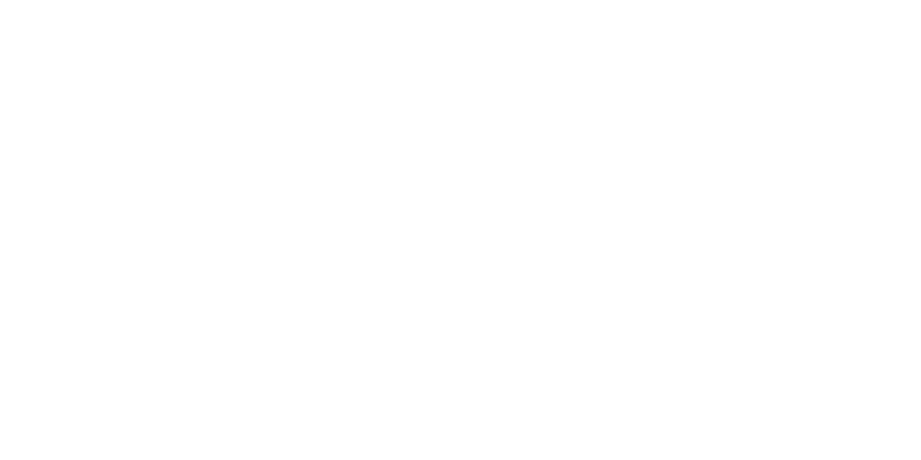 Duell_logo_at_white